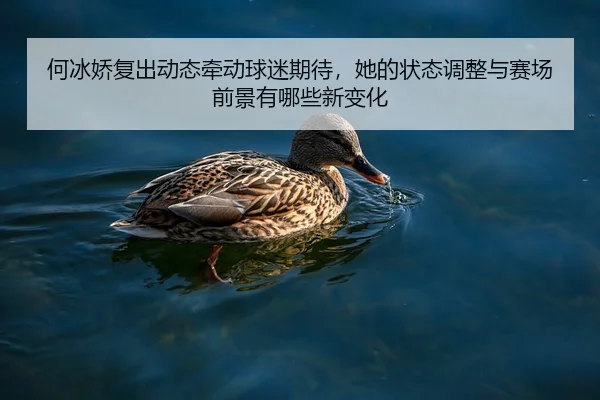 何冰娇复出动态牵动球迷期待，她的状态调整与赛场前景有哪些新变化 - 新闻资讯焦点报道封面图