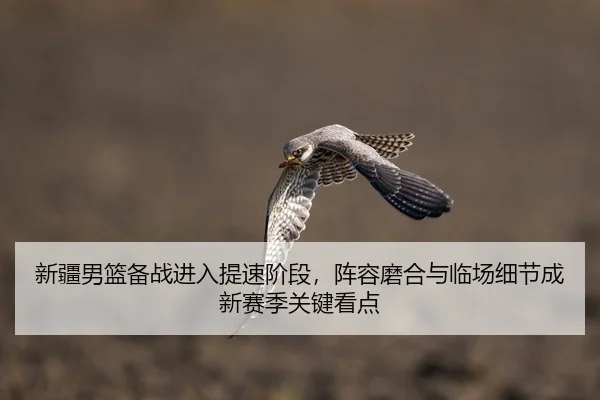 xin-jiang-nan-lan-bei-zhan-jin-ru-ti-su-jie-duan-zhen-rong-mo-he-yu-lin-chang-xi-jie-cheng-xin-sai-ji-guan-jian-kan-dian-2-368.jpg